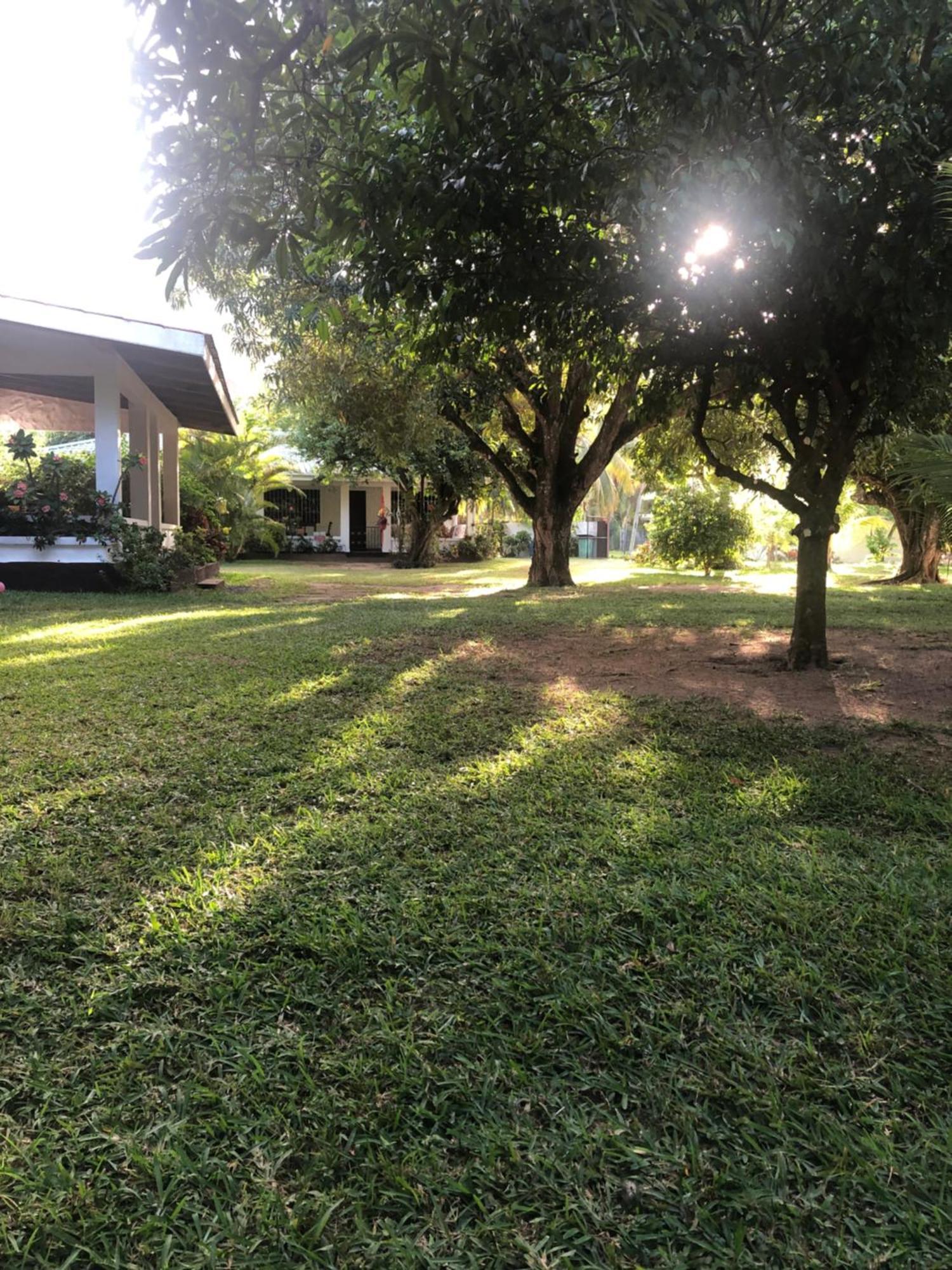 Hcs Bungalows Turtle Bay Rustic Bungalow Au Cap Dış mekan fotoğraf